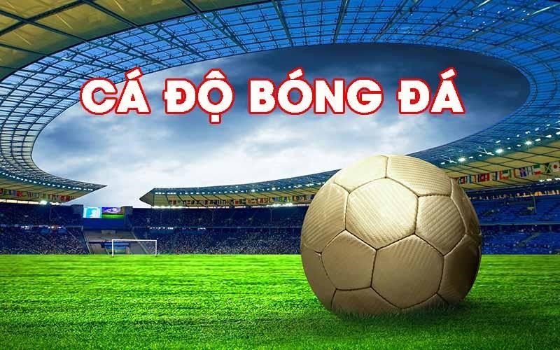 Các chuyên gia dựa vào đâu để đánh giá trang cá cược bóng đá